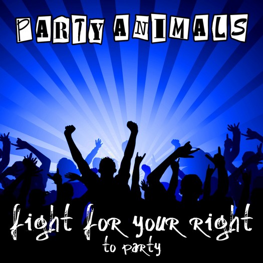 Album cover for Fight For Your Right (To Party)